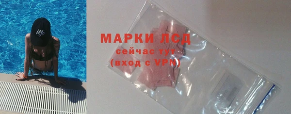стаф Богородицк
