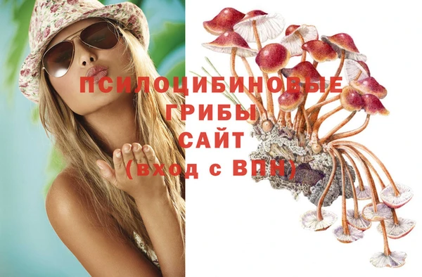 стаф Богородицк