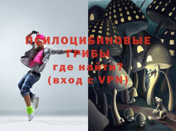 стаф Богородицк