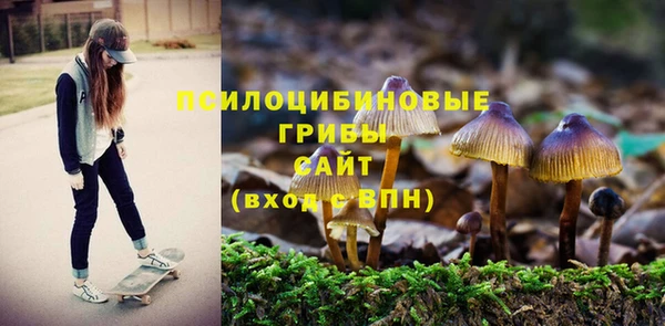 прущий лед Белоозёрский