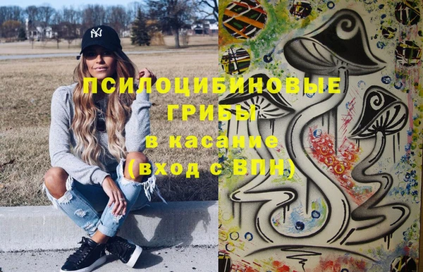 стаф Богородицк