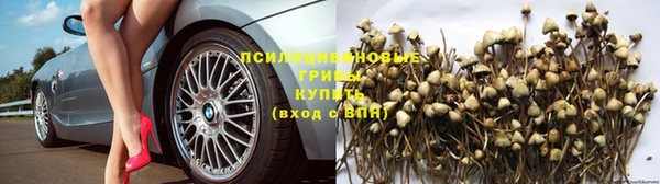 прущий лед Белоозёрский